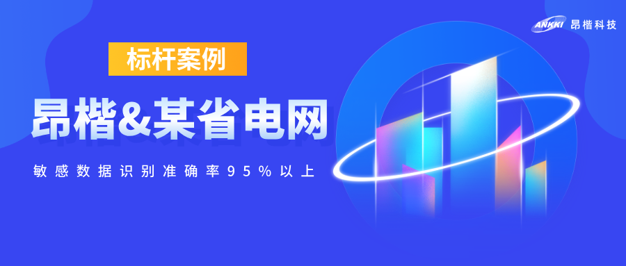 標(biāo)桿案例  | 敏感數(shù)據(jù)識別準(zhǔn)確率95%以上！昂楷攜某省電網(wǎng)破解電力數(shù)據(jù)開放的“既要又要”難題